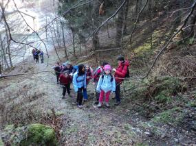 La foresta ci accoglie dolcemente