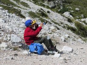Si scrutano le vette... forse in cerca dei compagni?
