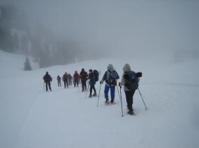 ... cantando verso ... la strada del bosco ...