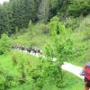 Comincia il bosco
