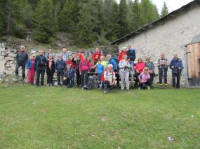 Il gruppo